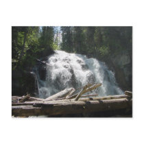 Sunday Falls Montana Post Card