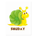 Sunday Snail Post Card