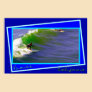 Sunday Surfers in Venice California
