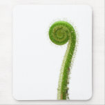 Sundew Frond Mouse Pads