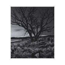 Sundown Gallery Wrap Canvas