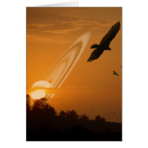 Sundown Cards