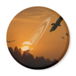 Sundown magnets
