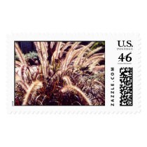 Sundried Grass postage by Andreyln Sundried Grass postage