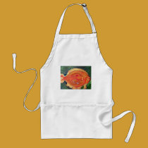 Sunfish aprons