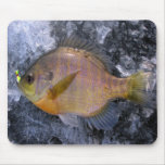 Sunfish Mouse Pad