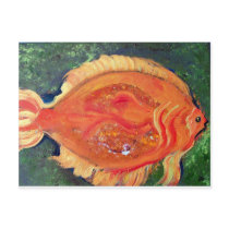 Sunfish postcards by vigoboom Sunfish postcards