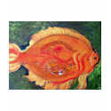 Sunfish t-shirts