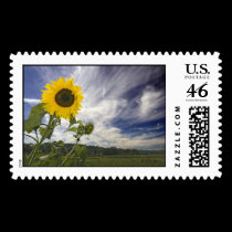 Sunflower1 stamps