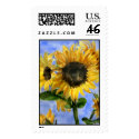 Sunflower 01 Custom Postage postage