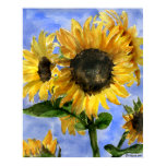 Sunflower 01 Watercolor Paintings Art Print