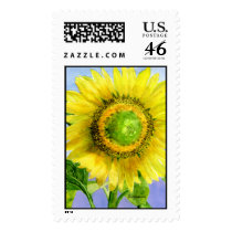 Sunflower 03 Painting Custom Postage Stamp by lillyarts Sunflower 03 Painting Custom Postage Stamp