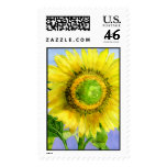 Sunflower 03 Painting Custom Postage Stamp