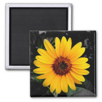 Sunflower 2 2 inch square magnet