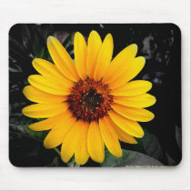 Sunflower 2 mousepads