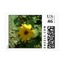 Sunflower 3, CE postage