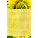 Sunflower 3 Watercolor Personalized Stationary stationery