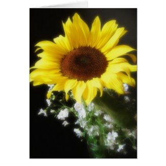 Sunflower 6 card