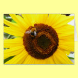 Sunflower and a Bee cards