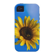 Sunflower and bee vibe iPhone 4 covers