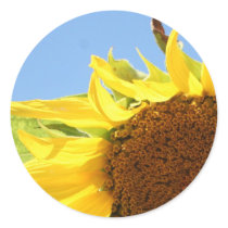Sunflower and Blue Skies stickers by sharpcreations Sunflower and Blue Skies stickers