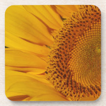 Sunflower and meaning beverage coasters