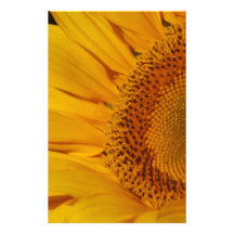 Sunflower and meaning stationery