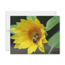 Sunflower announcement invitations by Diamonddust_Designs Sunflower announcement invitations