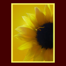 Sunflower Art Print Beautiful Flower Art Print posters