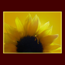 Sunflower Art Print Beautiful Flower Art Print posters