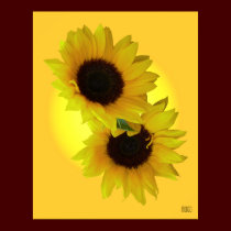 Sunflower Art Print Beautiful Flower Art Print posters