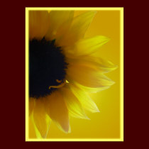 Sunflower Art Print Beautiful Flower Art Print posters