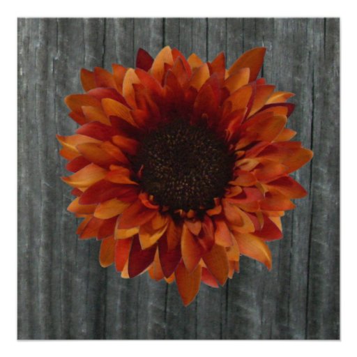 Sunflower & Barnwood Fall Wedding Invitation