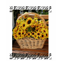 Sunflower Basket t-shirts