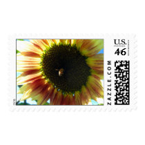 Sunflower Bee Stamps