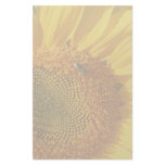 Sunflower &amp; Bee Stationery