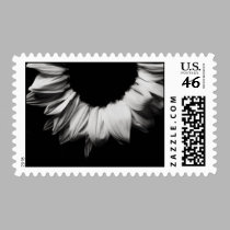 Sunflower Black & White postage by ChristianTravers Sunflower Black & White postage