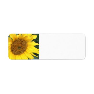 Sunflower Blank labels