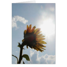 Sunflower Blank Note Card