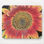 Sunflower Blossom Mouse Pad