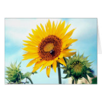 Sunflower Blue Sky Stationery Note Card