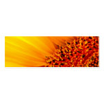 Sunflower Bookmark business cards