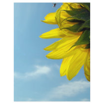 Sunflower Bug flyers