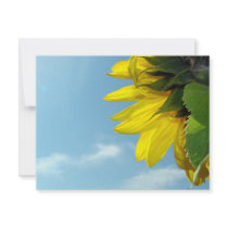 Sunflower Bug invitations by sharonsphotography Sunflower Bug invitations