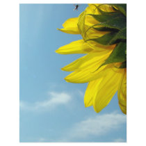 Sunflower Bug letterhead