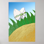 Sunflower Bug posters