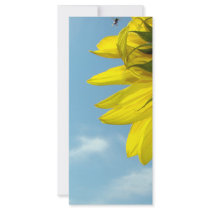 Sunflower Bug rack cards by sharonsphotography Sunflower Bug rack cards