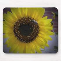 Sunflower bumble Bee 02 Mousepad