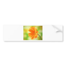 sunflower bumper sticker
