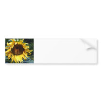 Sunflower bumper stickers by patsarts Sunflower bumper stickers